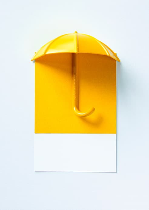 Описание программы срахования Накопительное страхование жизни от New Life Insurance